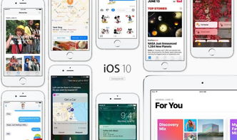 軟件系統(tǒng)資訊與專業(yè)軟件咨詢服務(wù) 驅(qū)動(dòng)企業(yè)數(shù)字化轉(zhuǎn)型的雙引擎